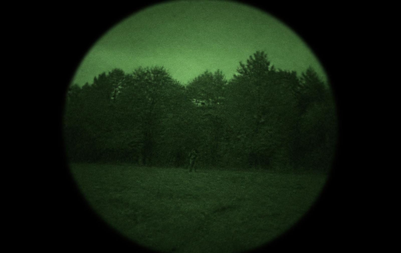 Simulated night vision view of a treeline at night