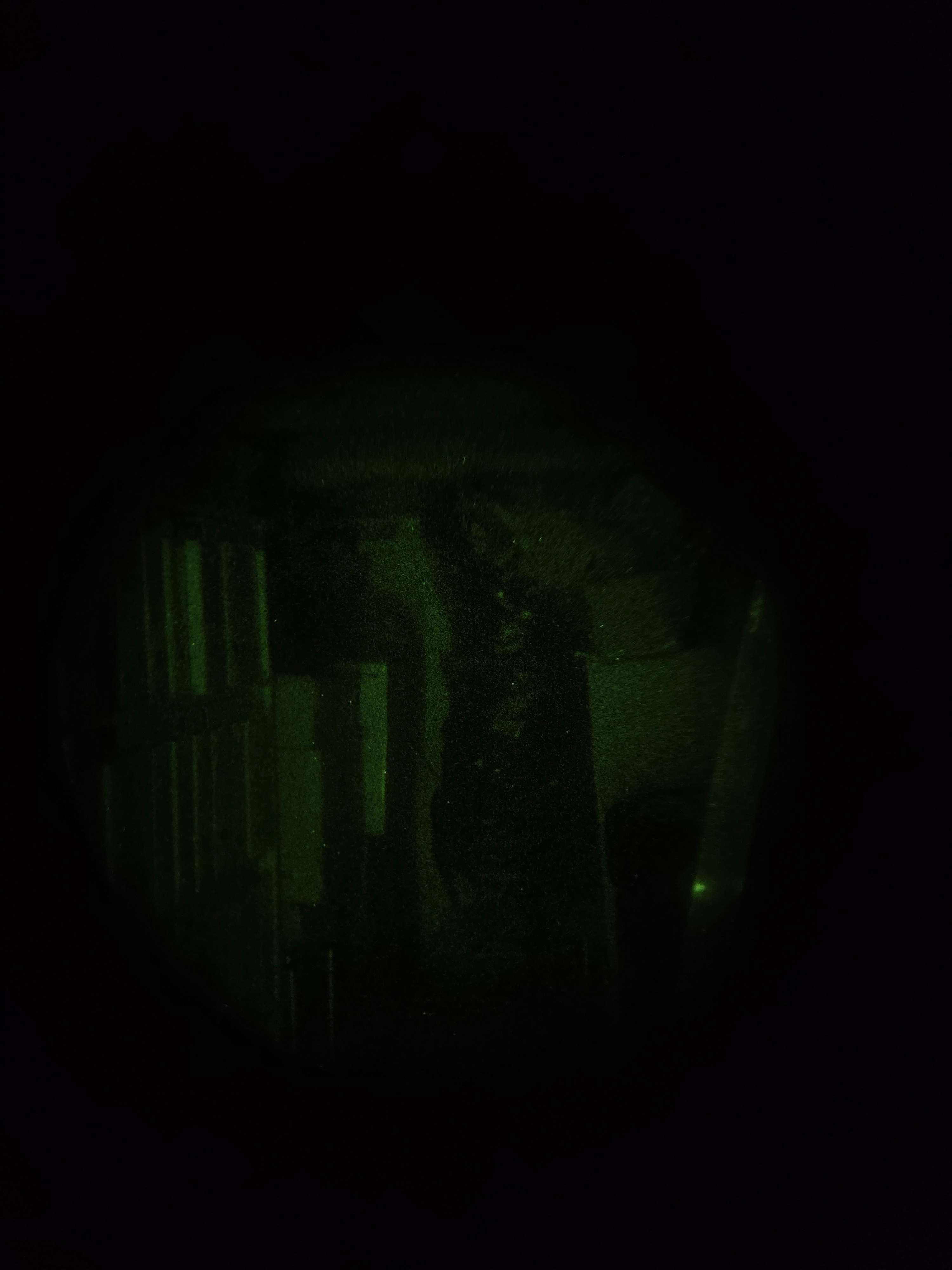 Simulated night vision view of a treeline at night