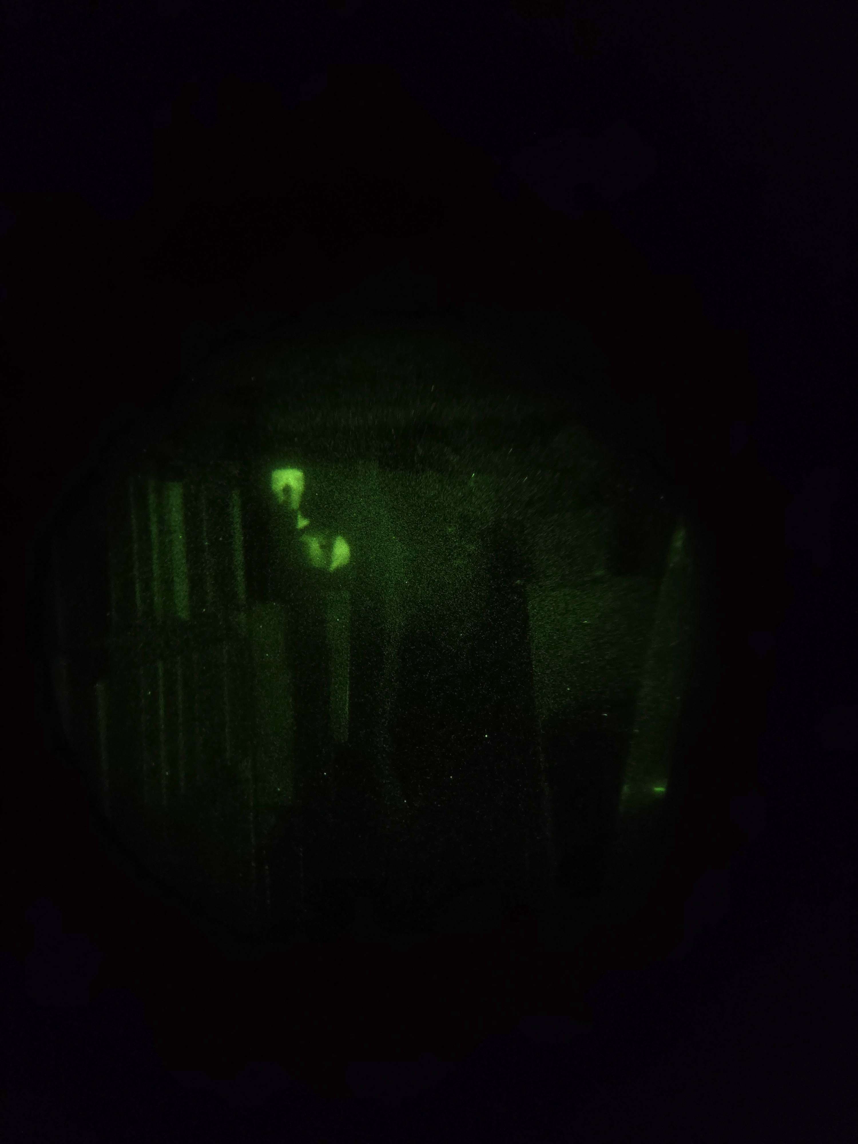Simulated night vision view with a thermal signature clearly visible